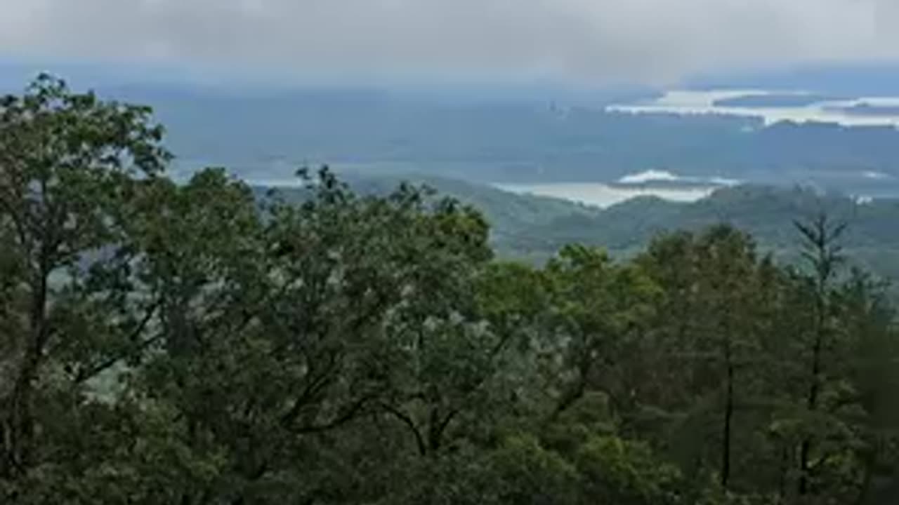 she couldn't be more correct