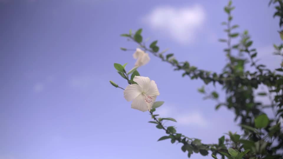 The cold weather won't last long. The spring breeze is on its way.