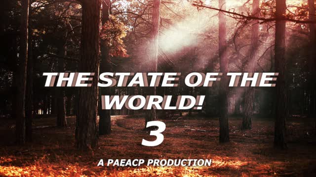 THE STATE OF THE WORLD 3