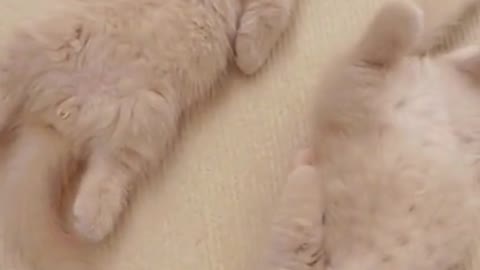 Are you guys tired of playing