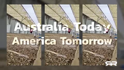 The Inside Voodoo of the OMICRON Fear Campaign