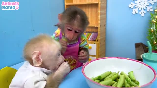 Chef BiBi harvests string beans to feed baby monkey Obi