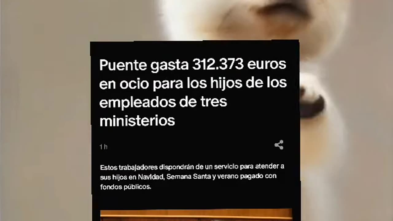 Puente gasta 312.373 euros en ocio para los hijos de los empleados de tres ministerios