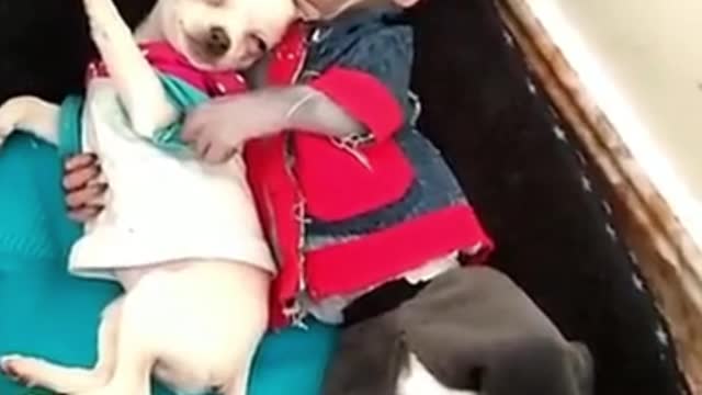 Cute baby monkey cuddles with puppy
