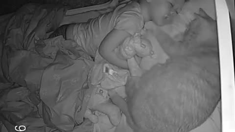 Toddler and Cat Take an Adorable Nap Together