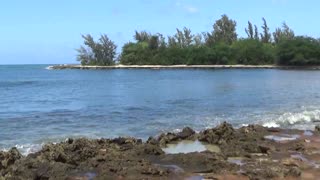 Halei'wa, HI — Pua'ena Point Beach Park