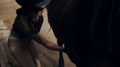 Woman grooming a black horse in the stall