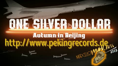 Steinmeier and the cluster bombs I ONE SILVER DOLLAR - HIP (Autumn in Beijing)