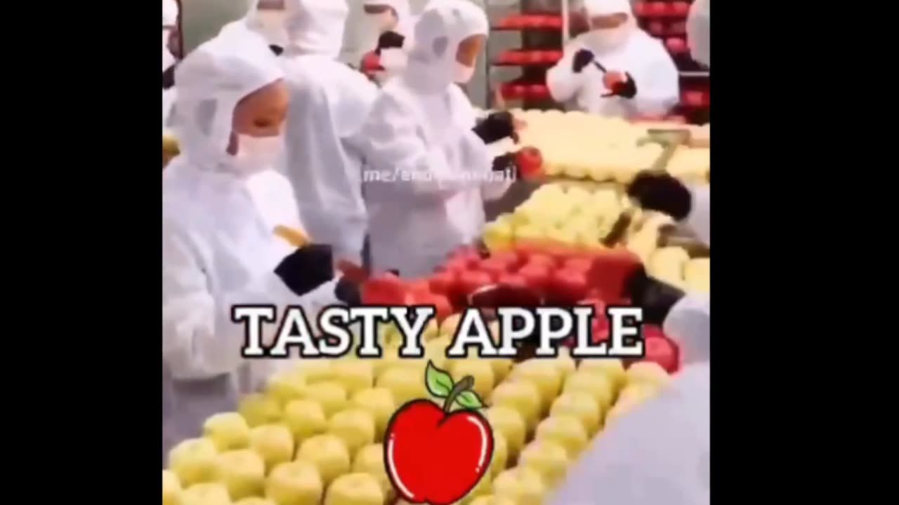 Tasty Apple