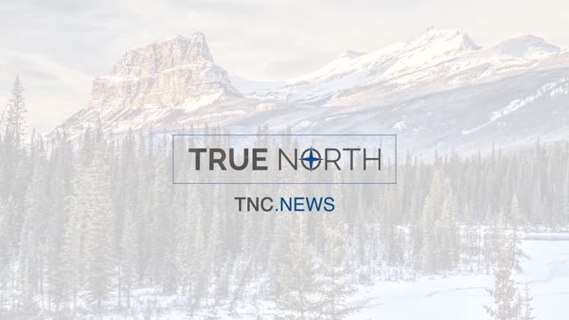 2007, four RCMP officers responded to a disturbance call at Vancouver International Airpor