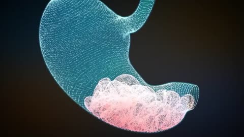 HUMAN DIGESTIVE SYSTEM