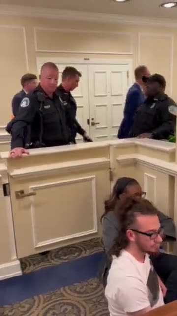 The Florida capitol building has been occupied by the "Dream Defenders," a group