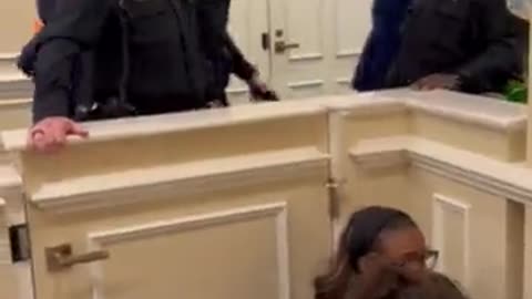 The Florida capitol building has been occupied by the "Dream Defenders," a group