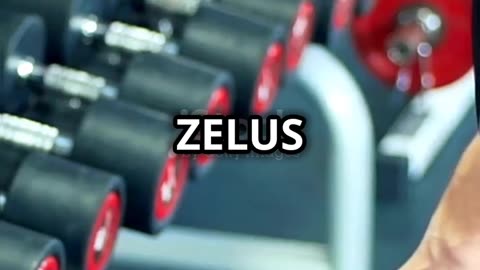 ZELUS Weighted Vest Review