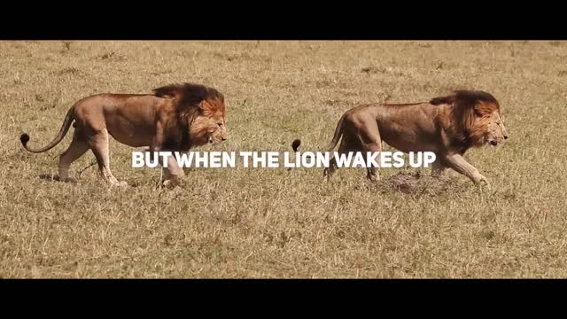 LION MENTALITY🦁 - Motivational Speech