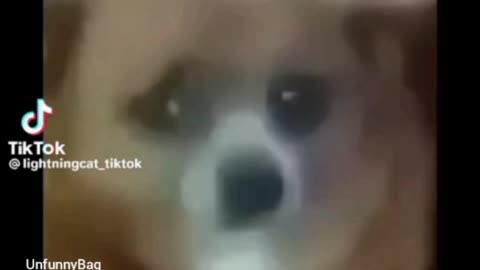 Unfunny TikTok meme compilation #1