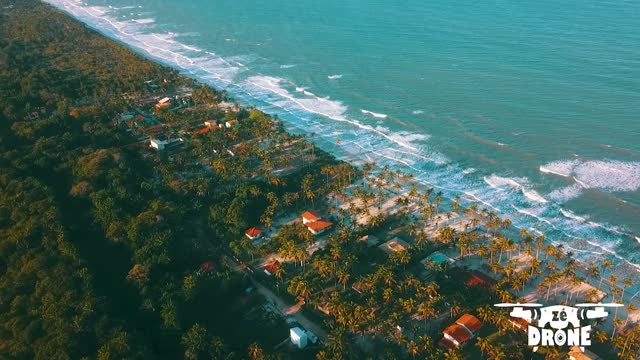 VIDEO MADE WITH DRONE BEACH NATURE