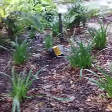 13.12.2024 Rubbishtown