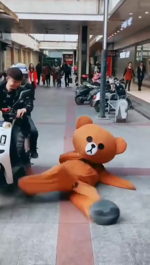 Bear enjoy moments