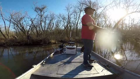 White bass run 2024, creeks are going crazy
