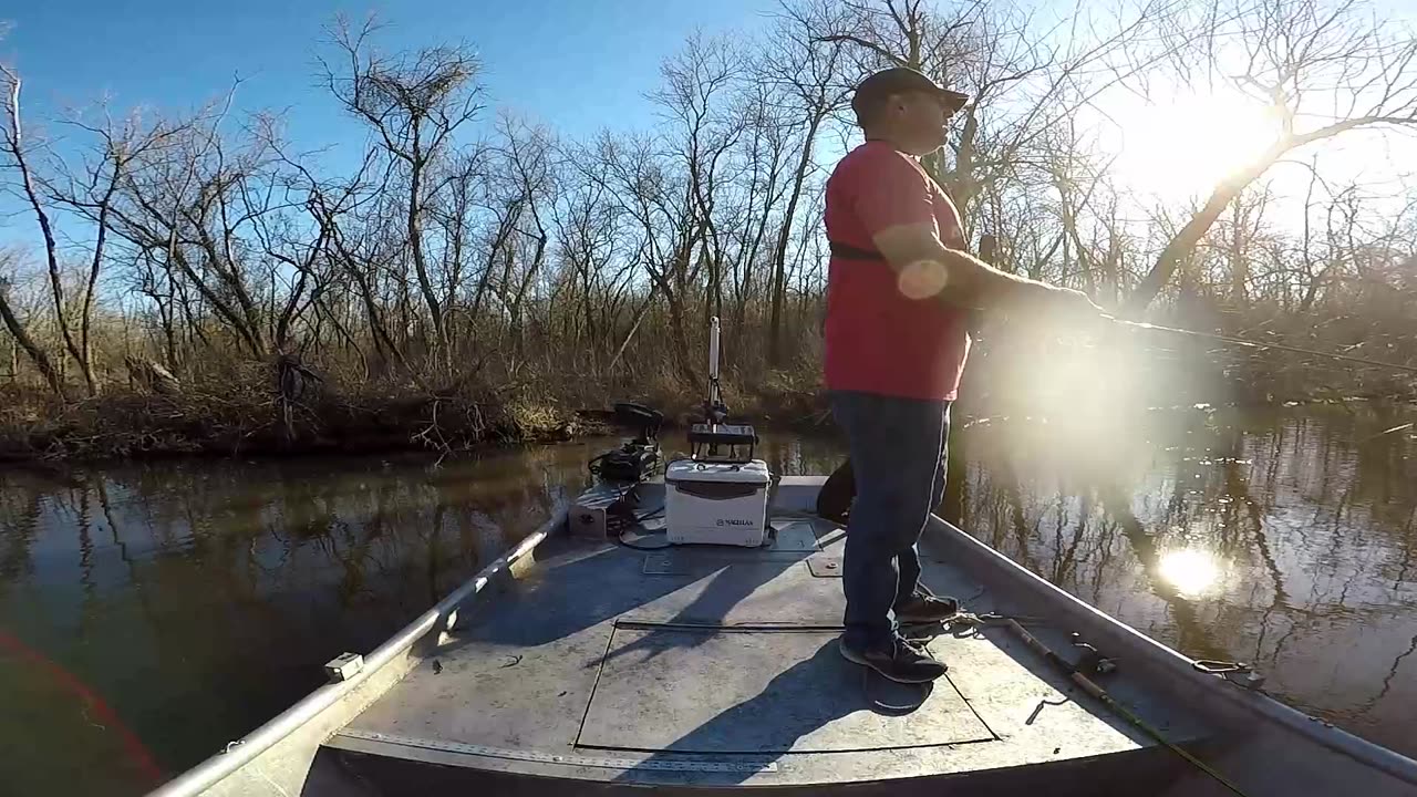 White bass run 2024, creeks are going crazy