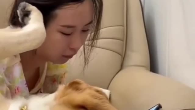 Funny video comedy 2022 hd video funny video