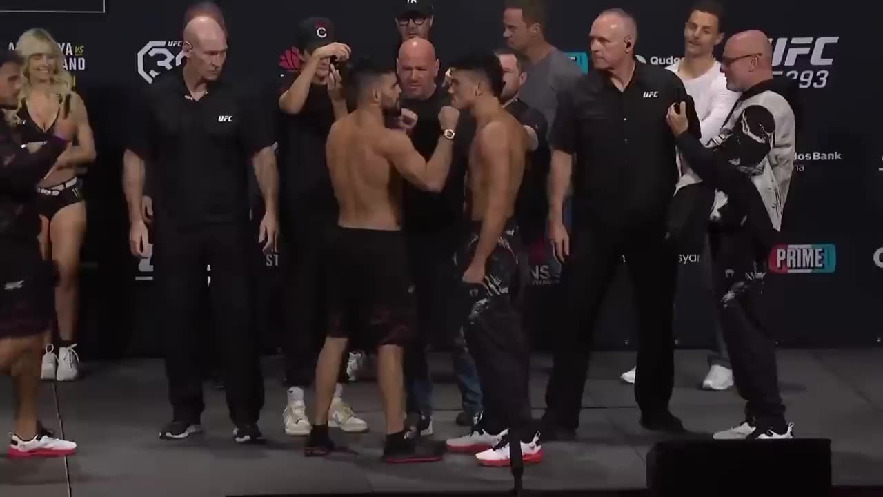 UFC 293: Final Faceoffs