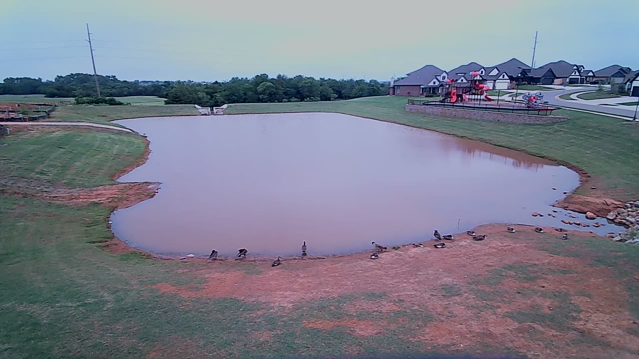 The Pond