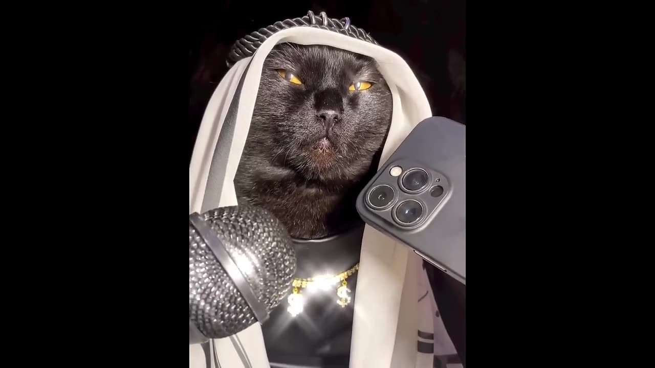New Funny Animals π Funniest Cats and Dogs Videos πΊπΆ