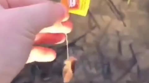 This tea experiment has gone too far