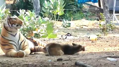 Dog scared by tiger toy