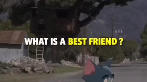 Best Friend