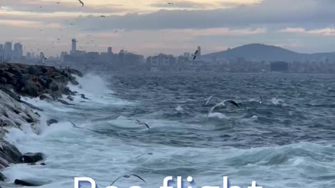 Travel video