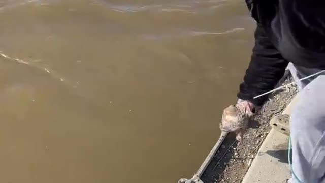 Fishing with nets from the river