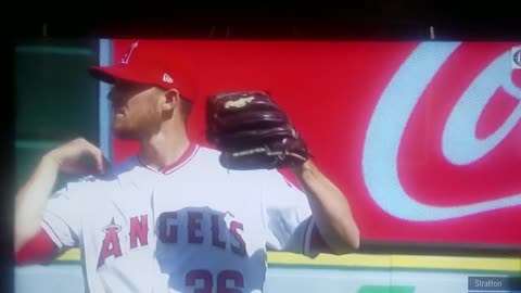 Bees take over foul pole at Angels Rangers game