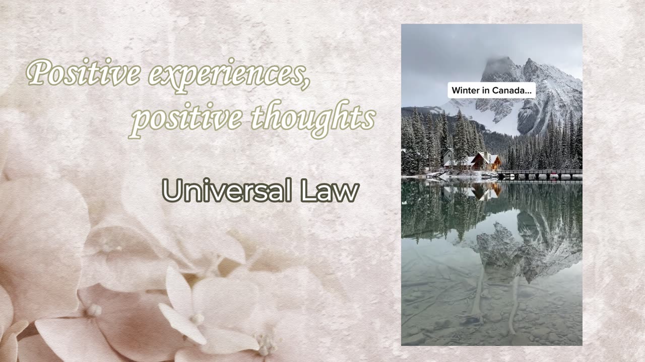 Divine Law, Universal Natural Law
