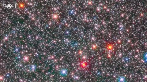 We_Will_Soon_See_an_Exploding_Star_in_the_Night_Sky