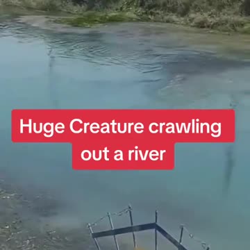River Creature or bad CGI you decide.