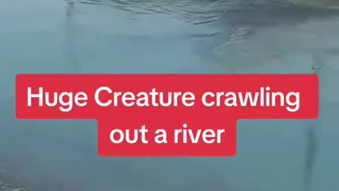 River Creature or bad CGI you decide.