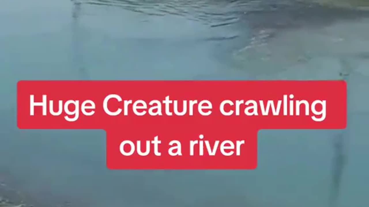 River Creature or bad CGI you decide.