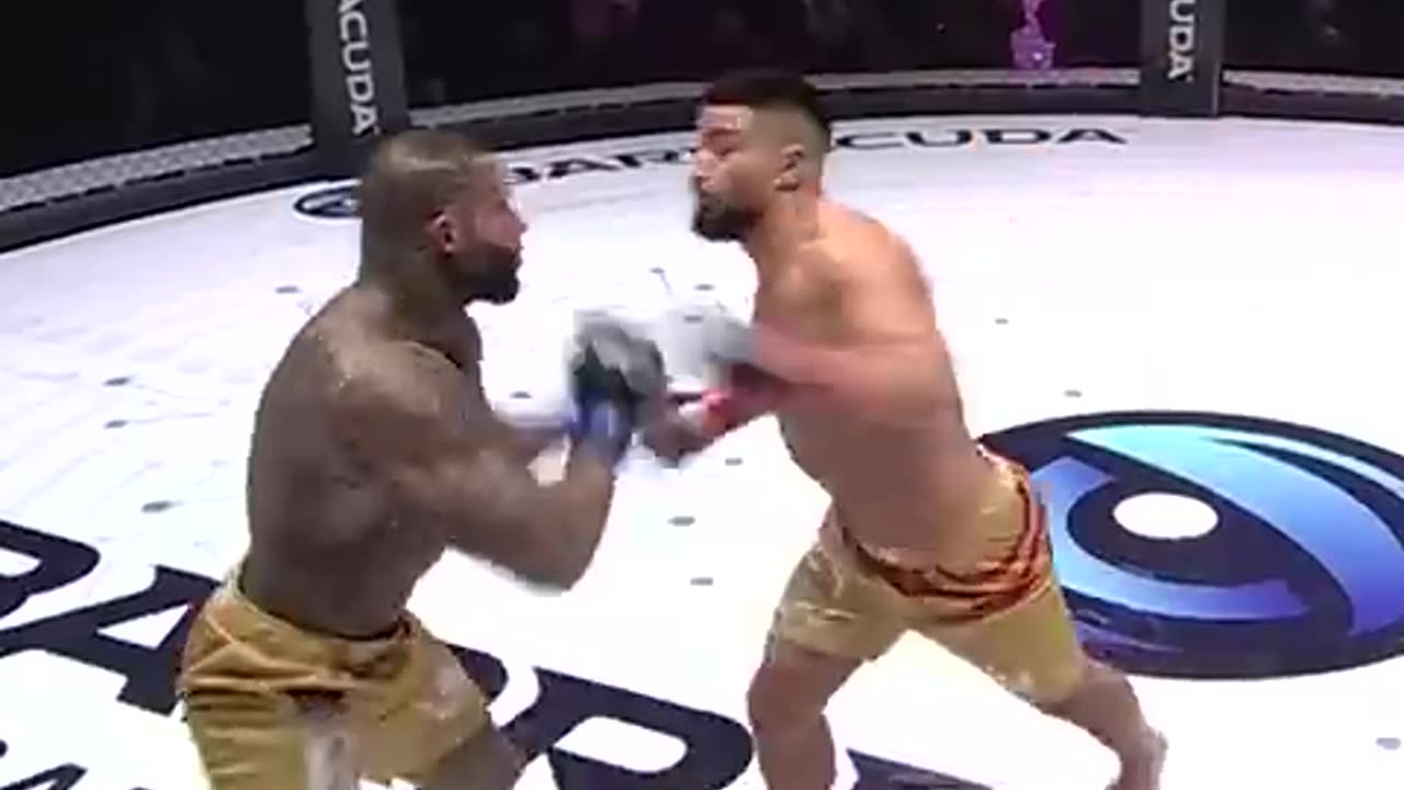 Bodybuilder vs pro MMA fighter