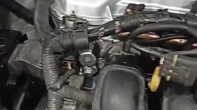 Toyota anvensis