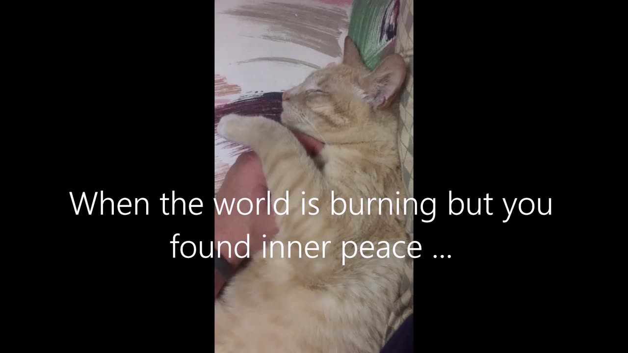 Maybe De Population Iz Nawt Ey Bad Thang