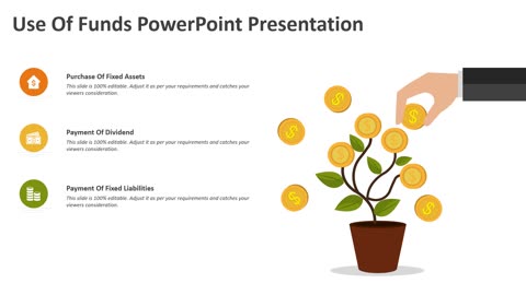 Use Of Funds PowerPoint Presentation