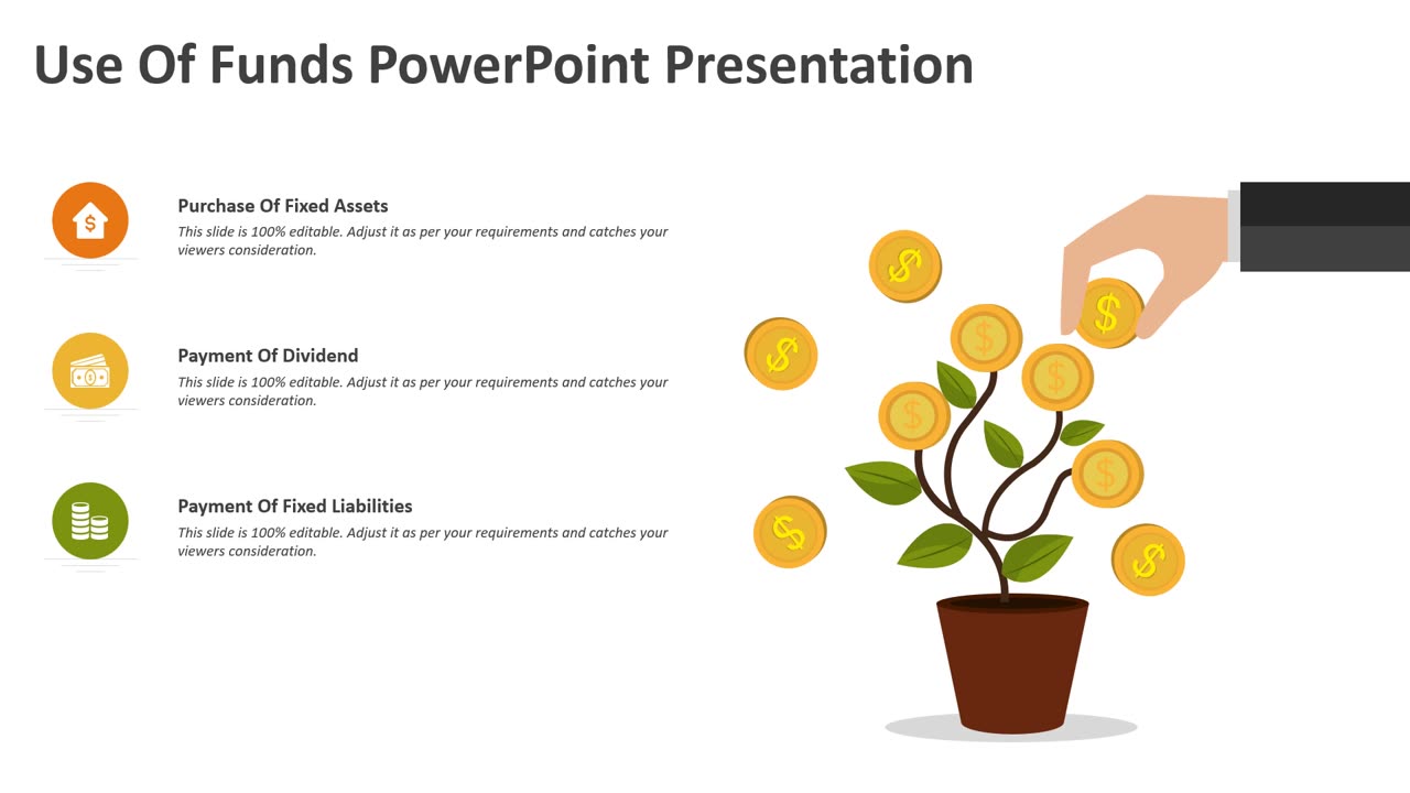 Use Of Funds PowerPoint Presentation