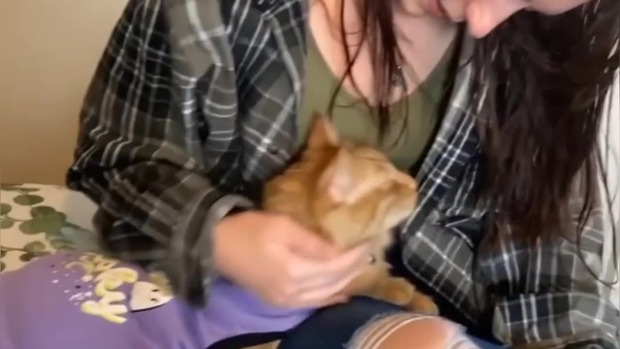 Cat lovers