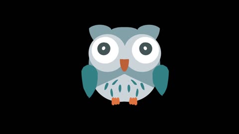 simple flat style animal blue owl mg animation