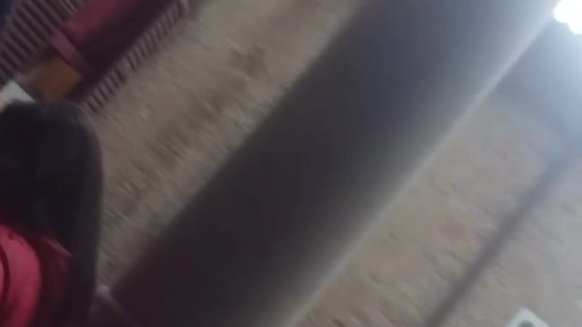 La setta degli imbecilli museruolati