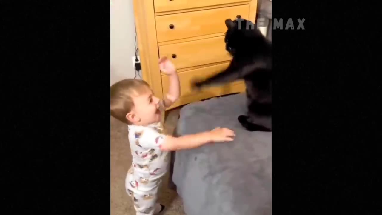 Funny Animal Videos 2023 😇 - Funniest Dogs and Cats Videos 🥰