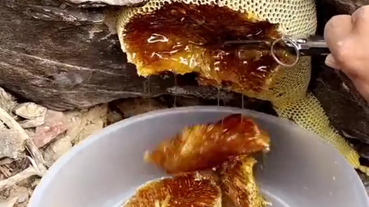 Honey harvest